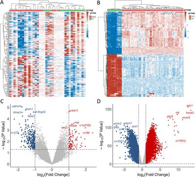 Exploring the transcriptomic landscape of moyamoya disease and systemic lupus erythematosus: insights into crosstalk genes and immune relationships